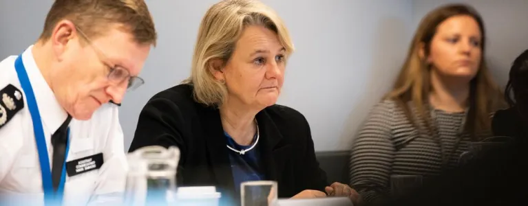 Lib Peck at the Violence Reduction Partnership Reference Group