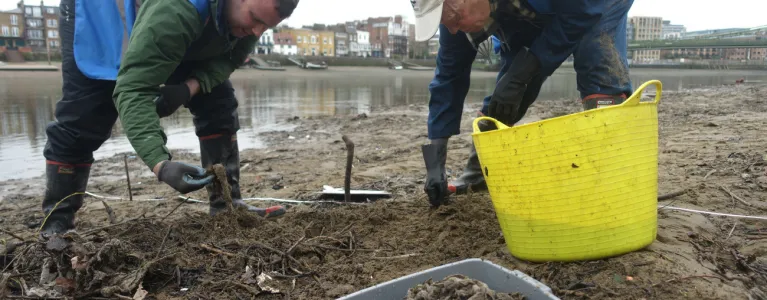 Wet Wipe foreshore clean up