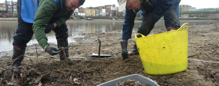Wet Wipe foreshore clean up