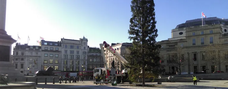 Xmas Tree Install 2x1