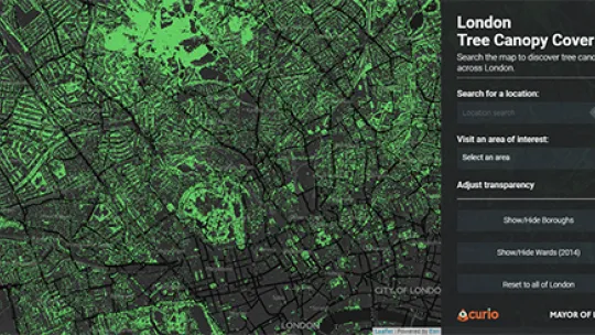 Canopy cover map screenshot