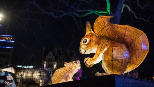 A large illuminated squirrel as part of Lumiere London in Leicester Square Gardens