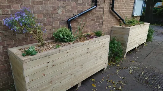 SuDS rain planters at a school