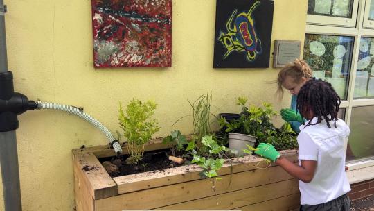 SuDS rain planter with pupils doing gardening