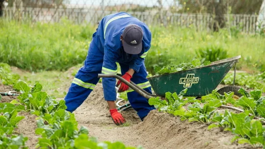 a man in a blue uniform working in a garden
