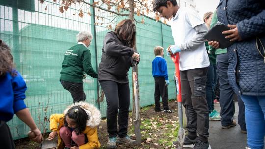 People planting trees outside a school