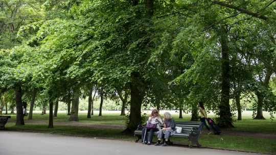 people sitting in shade park