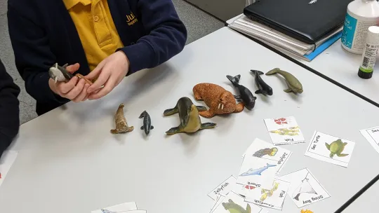 Children explore how scientists group animals