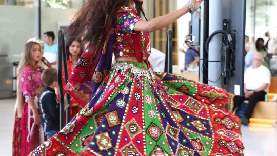 Gypsy Roma Traveller History Month Reception