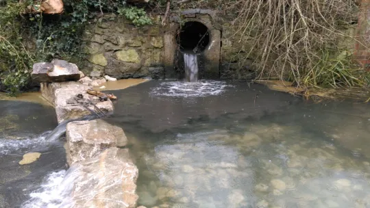 Sewer water in Hogsmill river