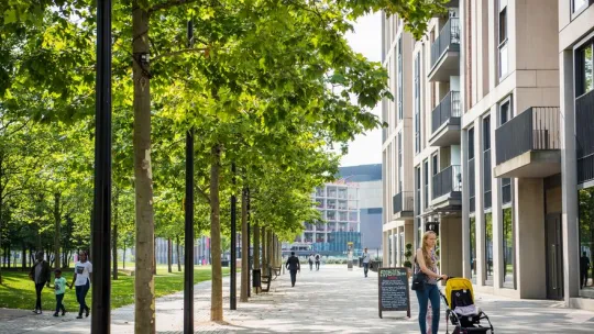 A residential pavement in London with trees