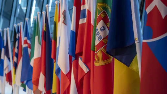 A row of European flags.