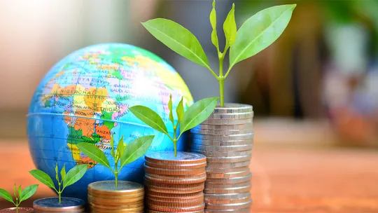 A plant blooming above a roll of coins in front of an atlas