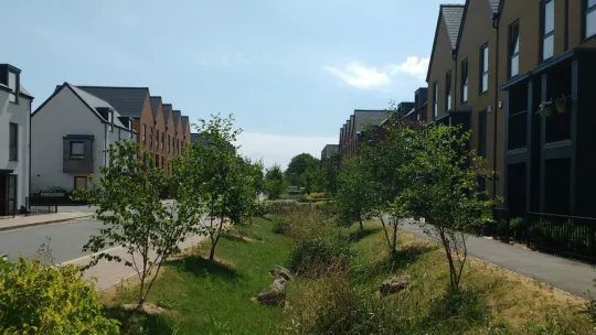 st andrews park 2x1