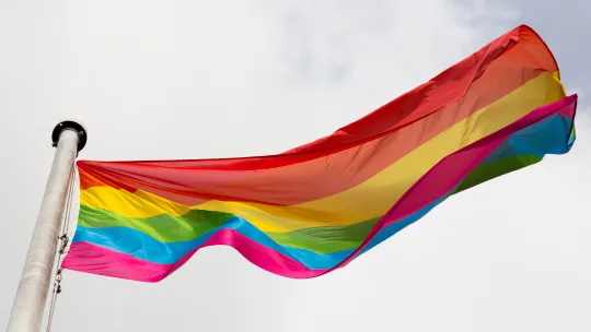 LGBT Pride flag