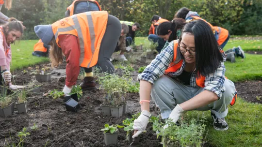 Blossom Garden Volunteers