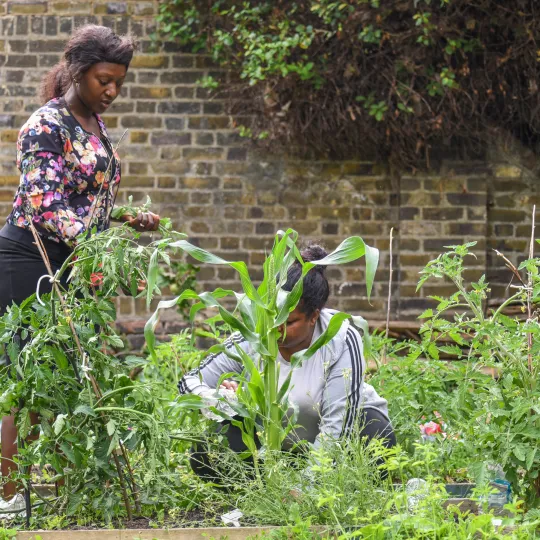 Two women gardening