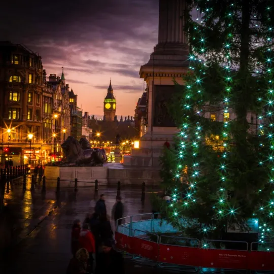 Trafalgar Square in twilight with Christmas tree