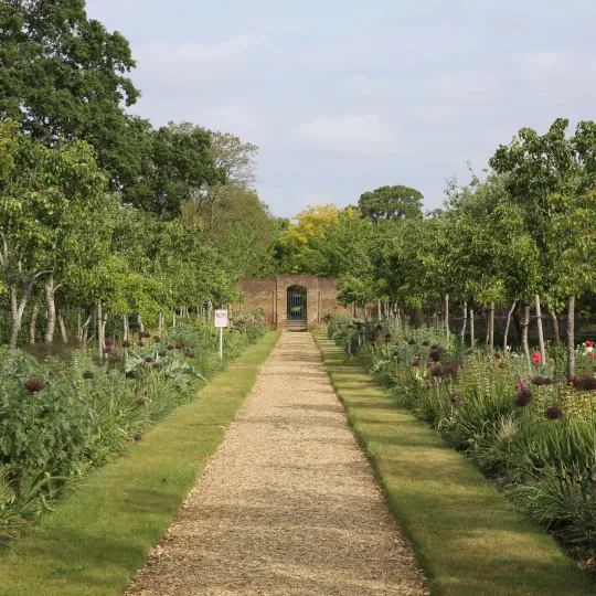 path with plants on either side
