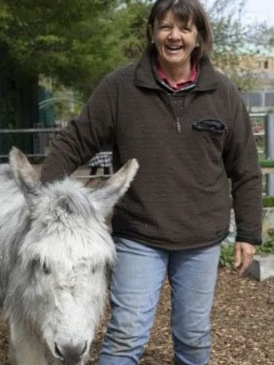 Volunteer Anne with a donkey at Spitalfields City Farm