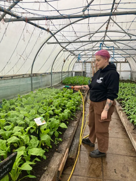 Volunteer Ro watering a vegetable patch at Spitalfields City Farm