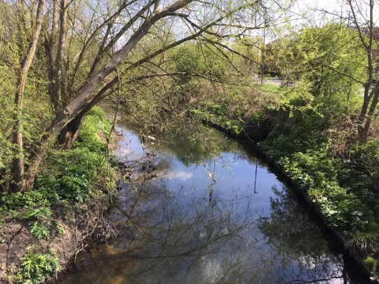 Ealing Brent river