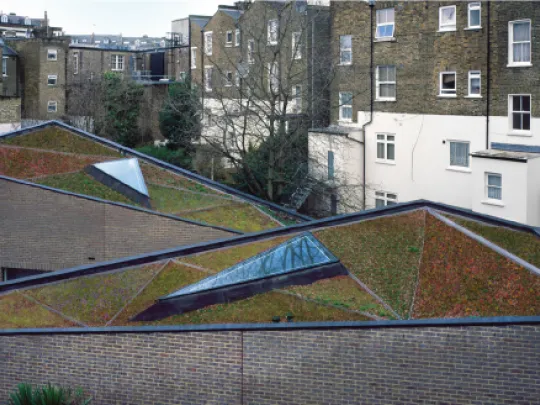 Photo of Otts Yard