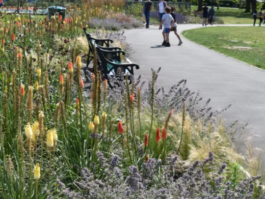 Wild flowers, a play area and children playing in Silkstream Valley Park