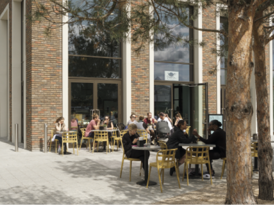 Outdoor coffee in a leafy plaza