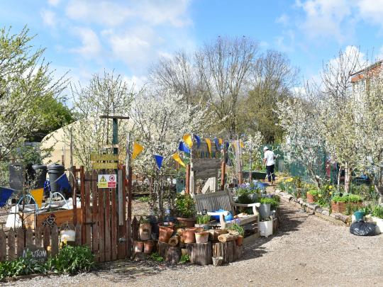 an orchard and community garden in full bloom, with a pile of flower pots around a wooden bench and bunting.