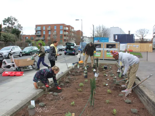 Community planting activity in North Camberwell