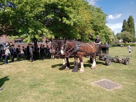 school children watching shire horses