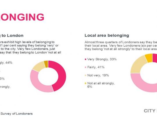 Belonging Infographic
