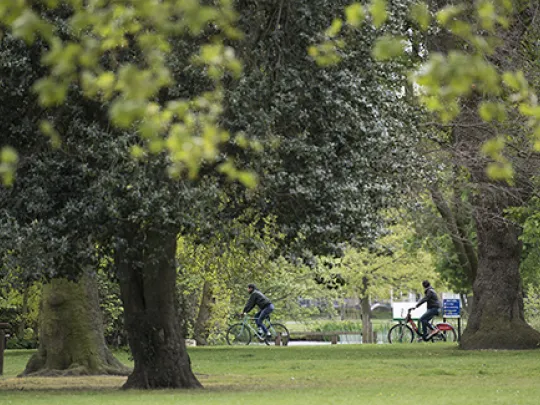 Park life