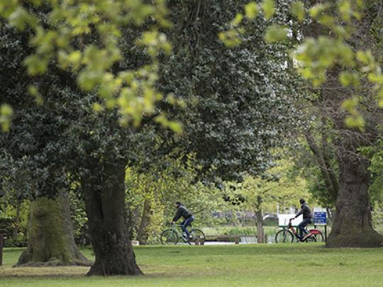 Park life