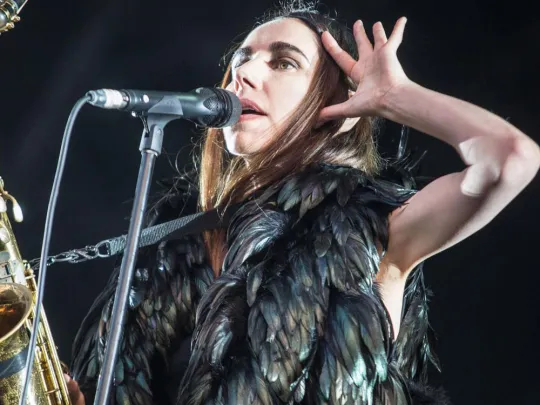 PJ Harvey at field day festival