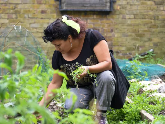 Woman gardening