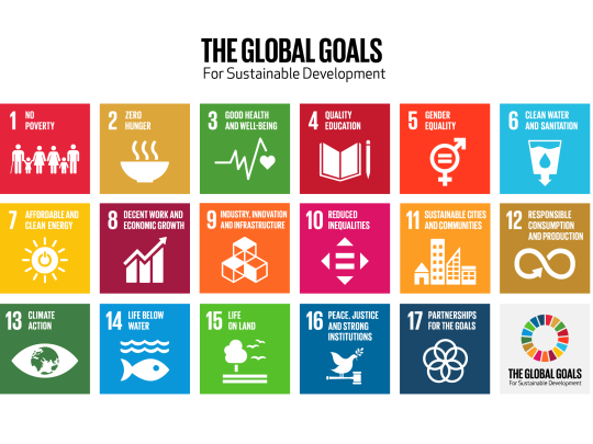 The United Nations Sustainble Development Goals 