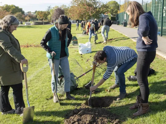 Tree planting
