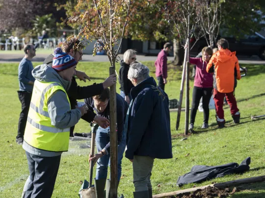 Tree planting