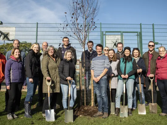 Tree planting