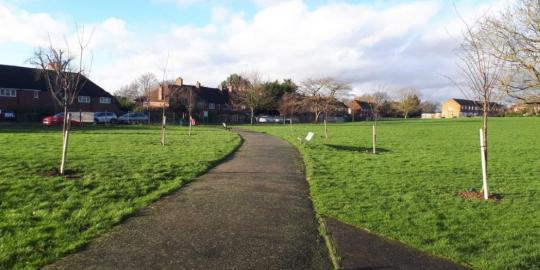 Avery Hill environment outdoor area with footpath running between the parks