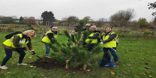Waltham forest environment group of people planting a tree 