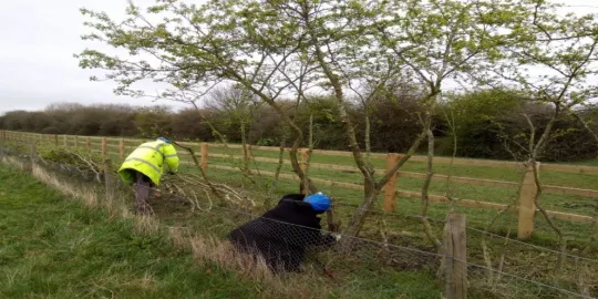 Chase nature reserve environment two people planting tree