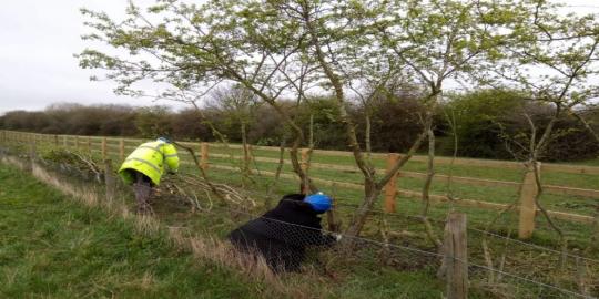 Chase nature reserve environment two people planting tree 