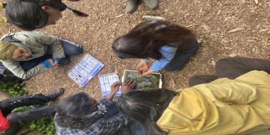 Bethnal green Wetlands environment with children working on a flower