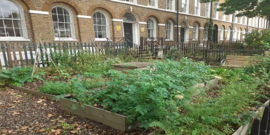 Cambridge house land environment open space flower area 