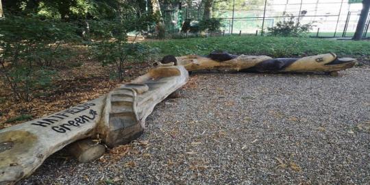 Greenhubse environment three tree logs on the ground