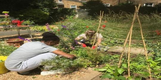 greening highbury quadrant environment with two people planting flowers 