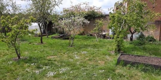 Greeningour valley environment outdoor green area